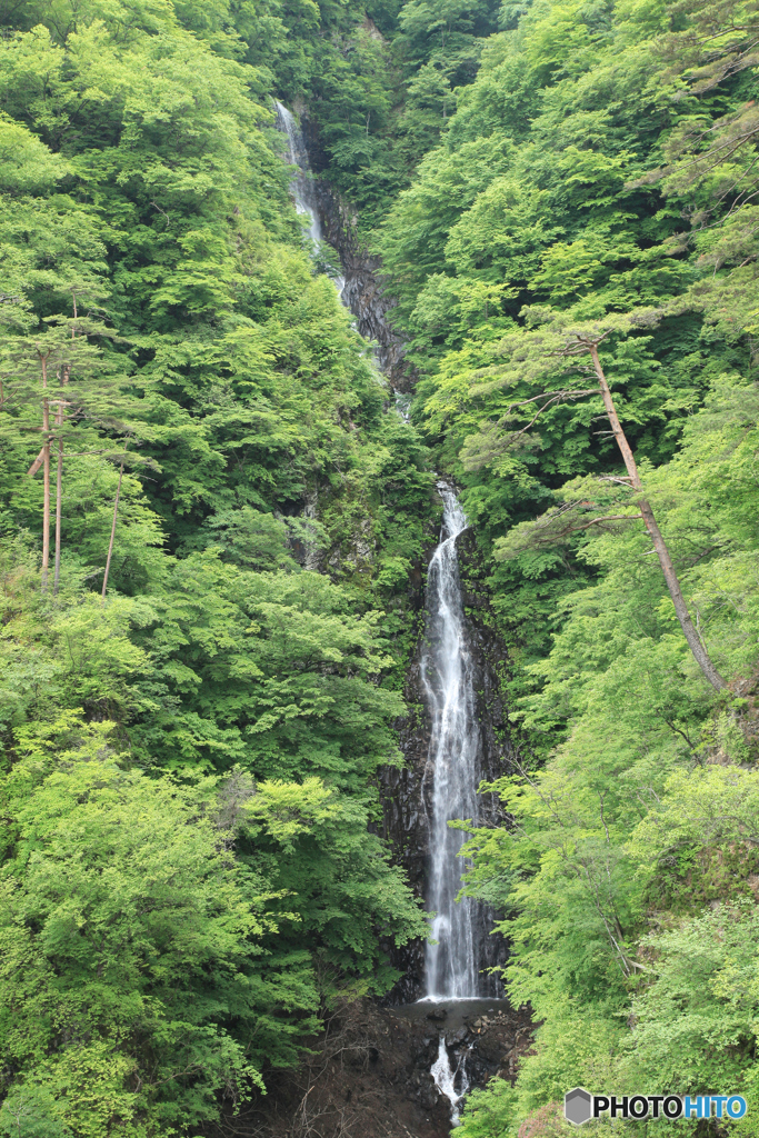 不動の滝