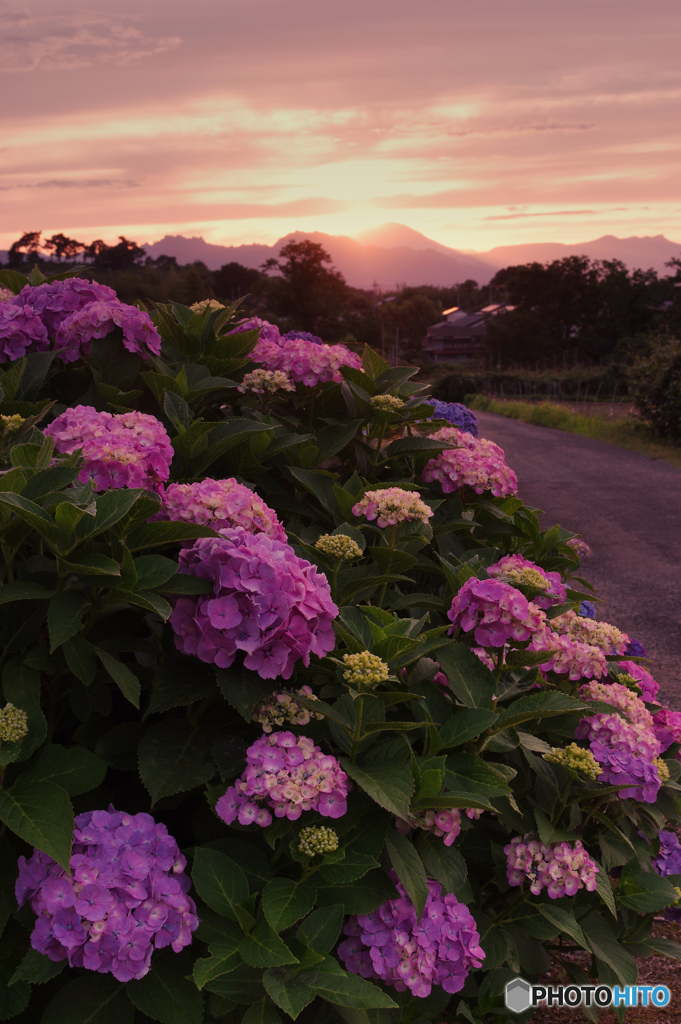 夕暮れ５