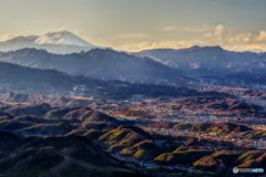 展望