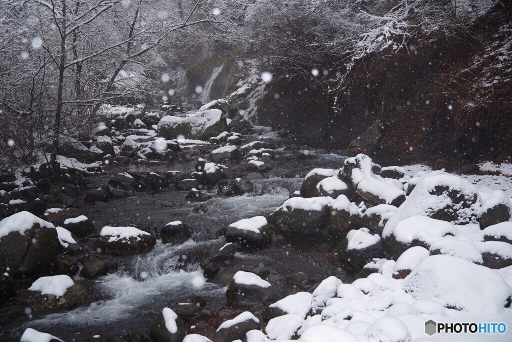 雪景色２