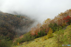 霧の峠