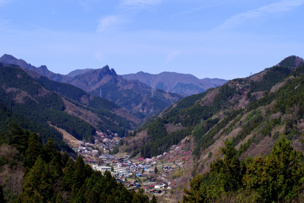 山村の春