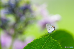 梅雨休み