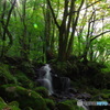 滝めぐり２３