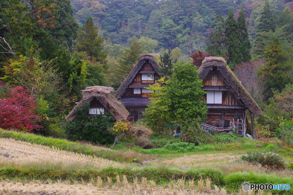 山里