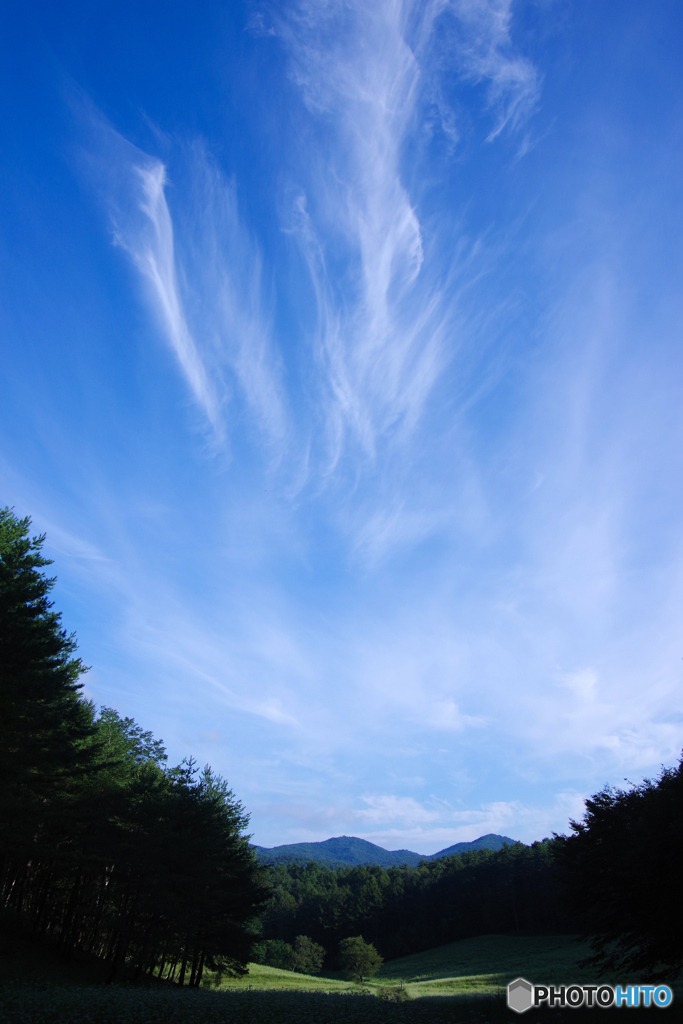 高原の空