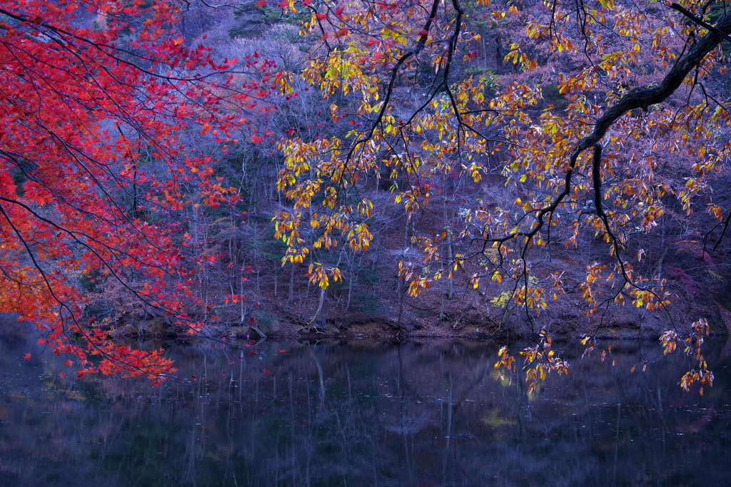 湖畔の秋２
