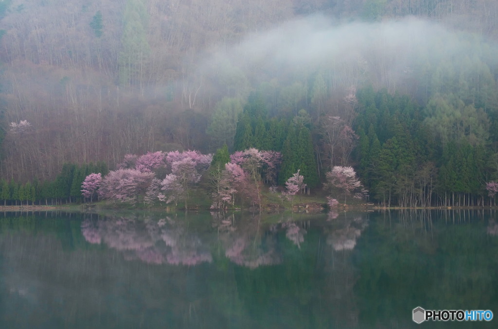 湖畔の春