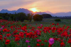夕暮れ