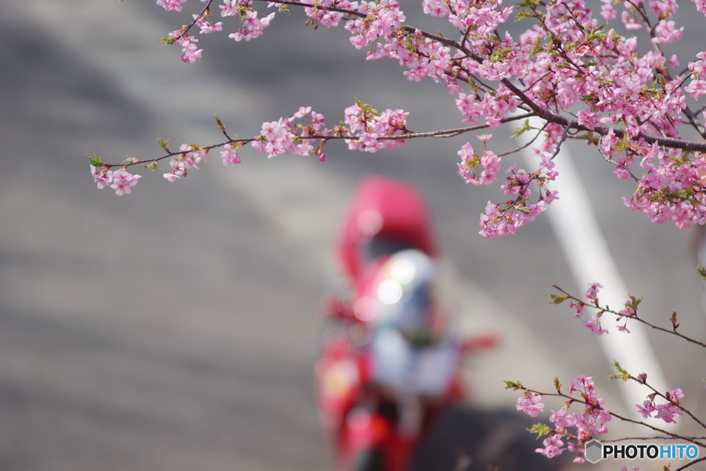 花面ライダー