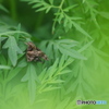 休息