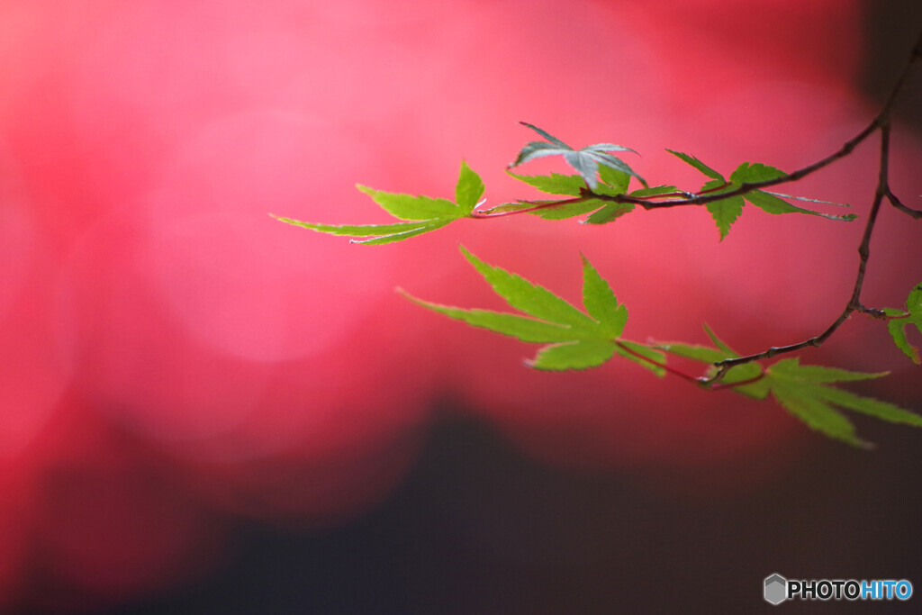 彩７