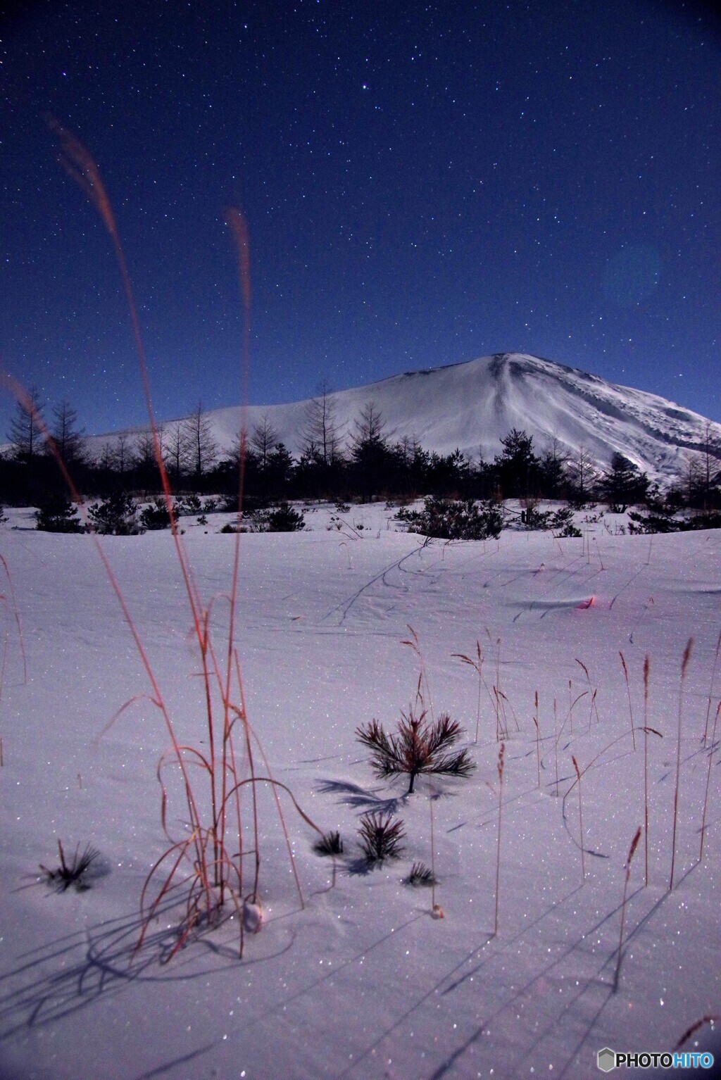 月夜３