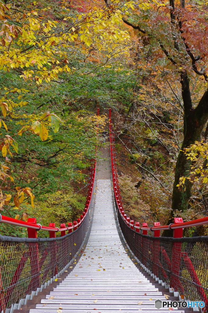 紅葉２
