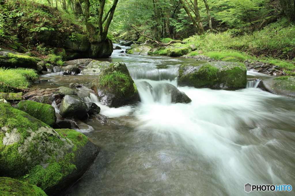 渓流の誘い