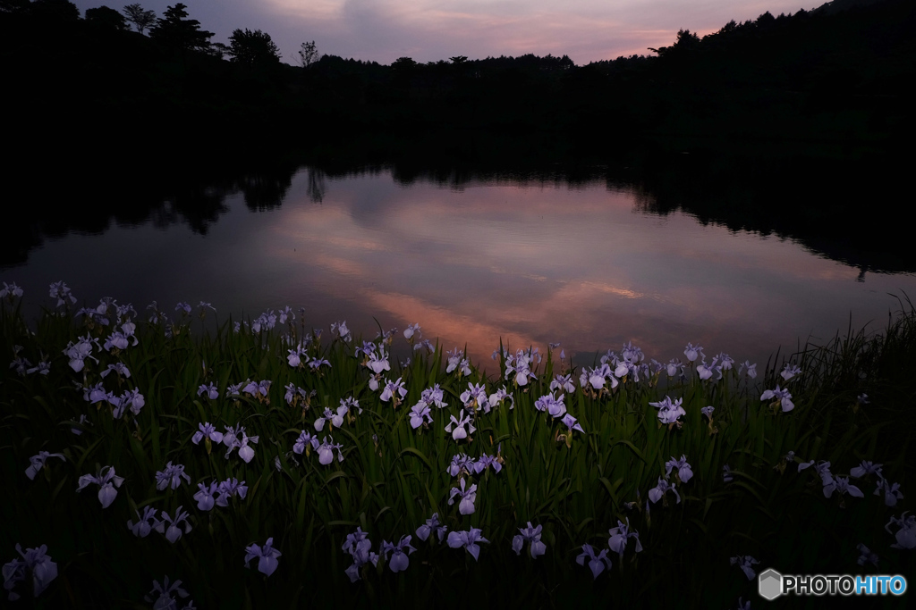 夕暮れ３