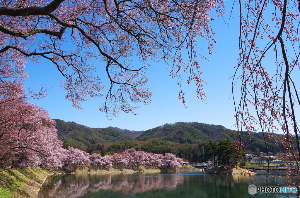 春の休日