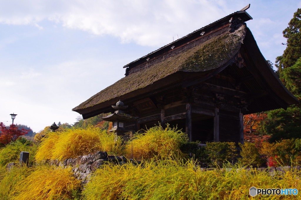 紅葉の津金寺１