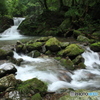 復活の渓流