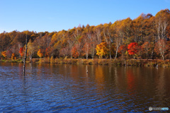 女神湖の秋