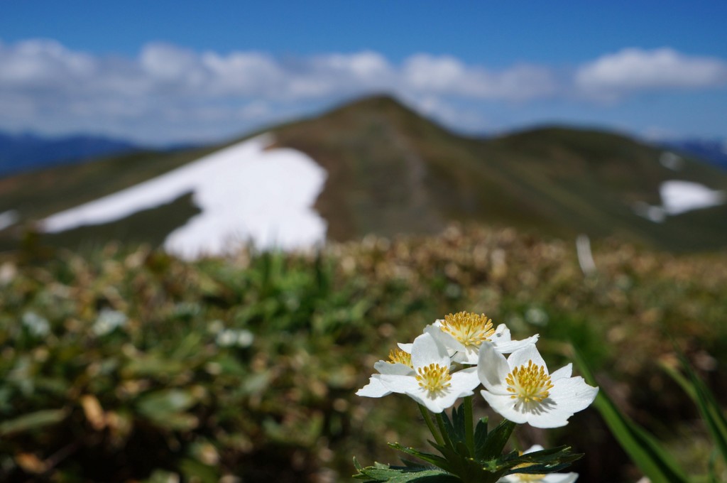 平標山展望