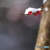 雪帽子２