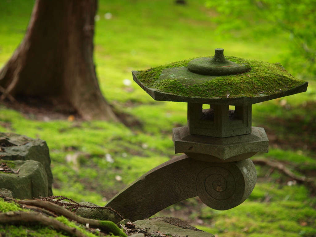 苔寺を歩く