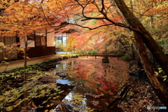 古刹の秋３