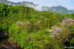 緑の香り