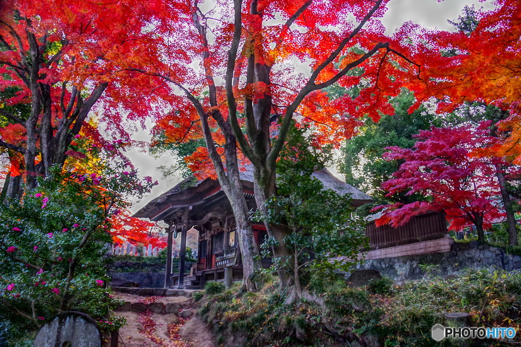 少林山