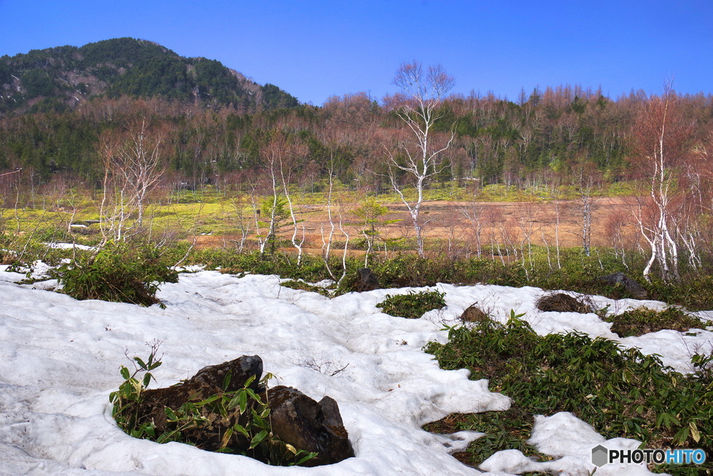 雪解け
