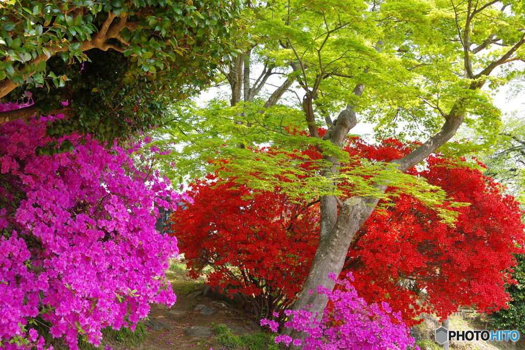 公園散歩２