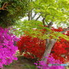 公園散歩２