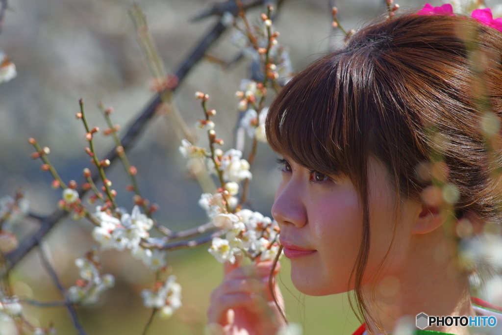 梅美人２