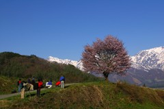 山と桜とカメラマン