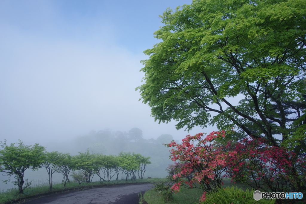 高原の朝
