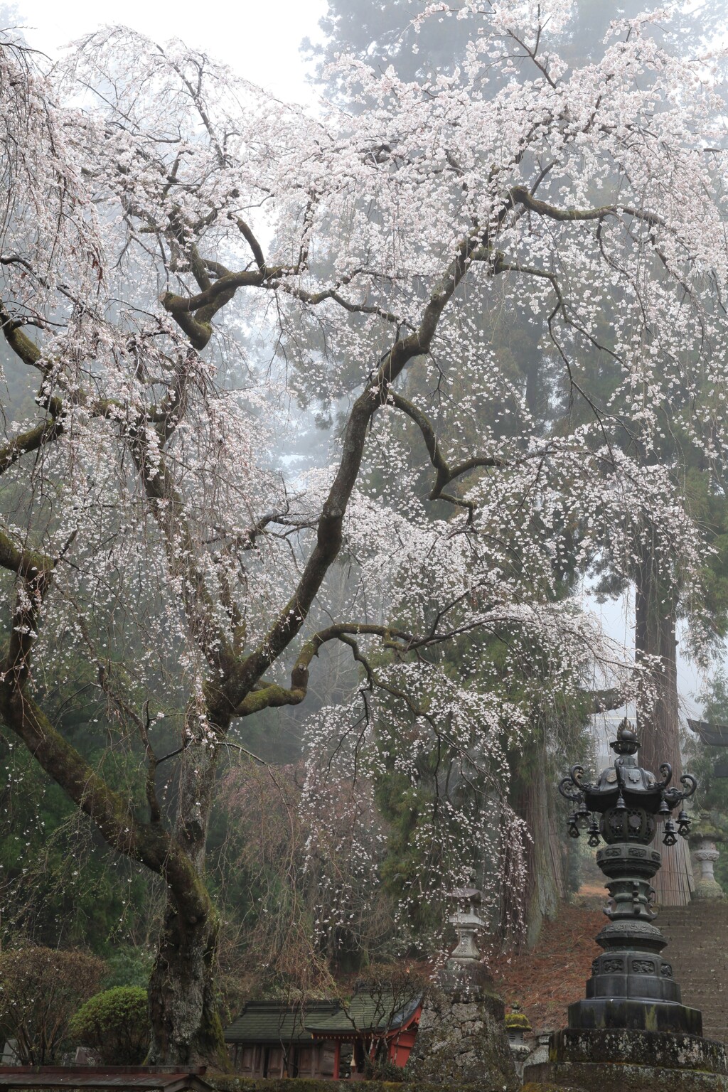 妙義神社