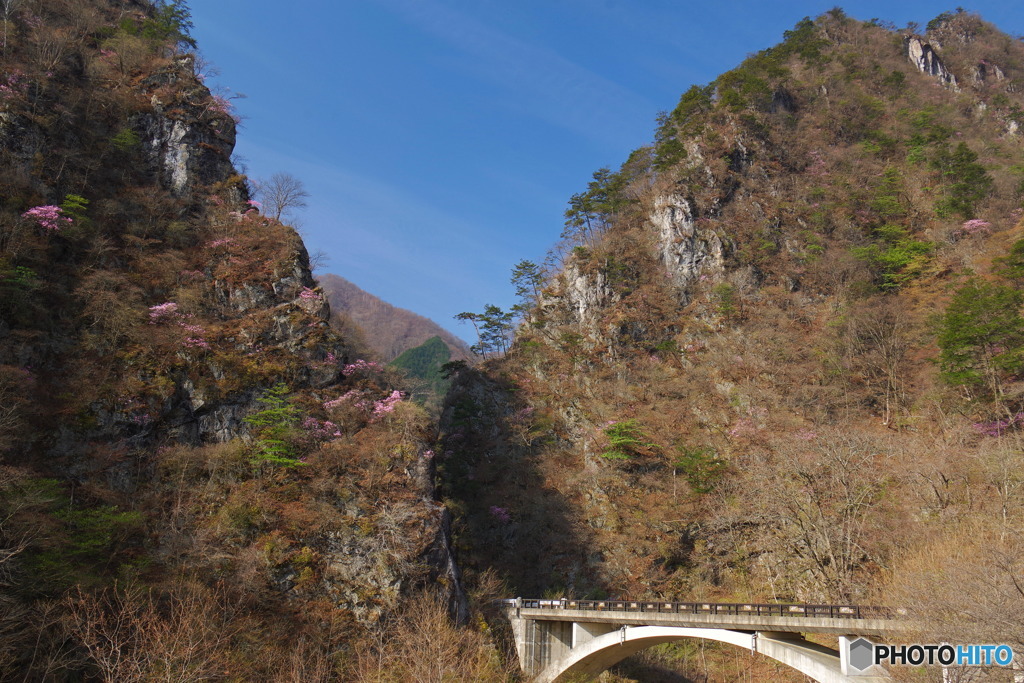 岩肌の色づき