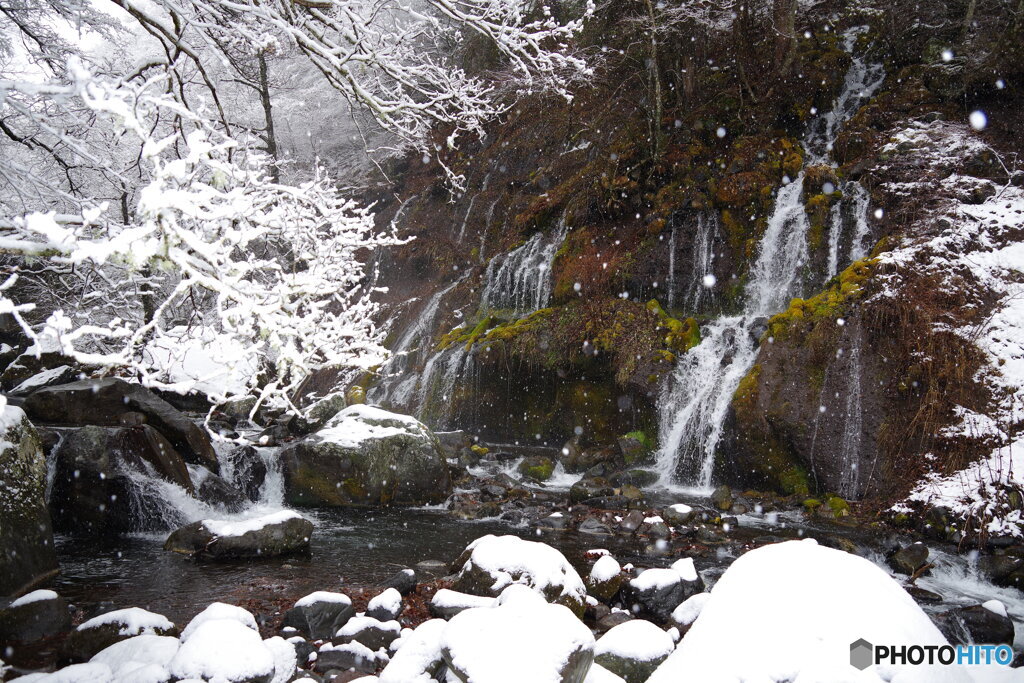 雪景色