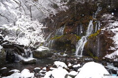 雪景色