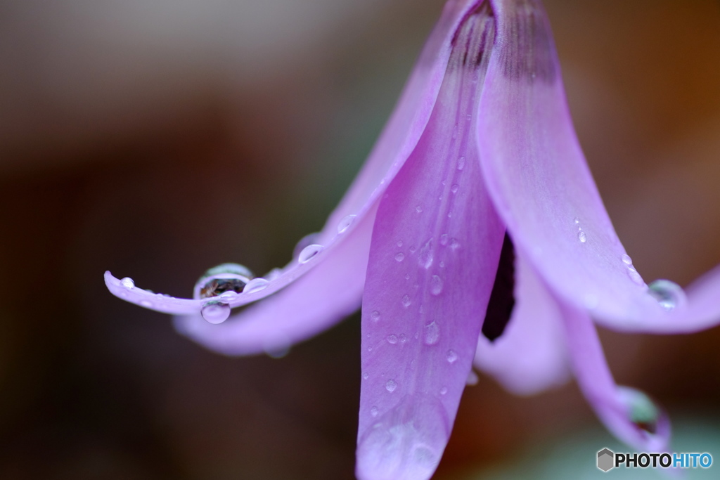 雨の日