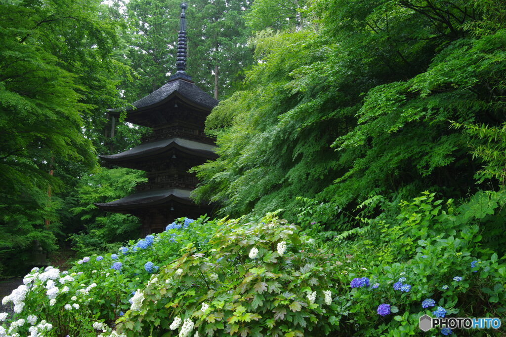 昔を偲ぶ