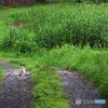お出迎え。