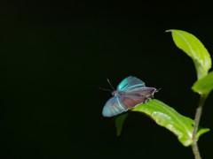 輝き４