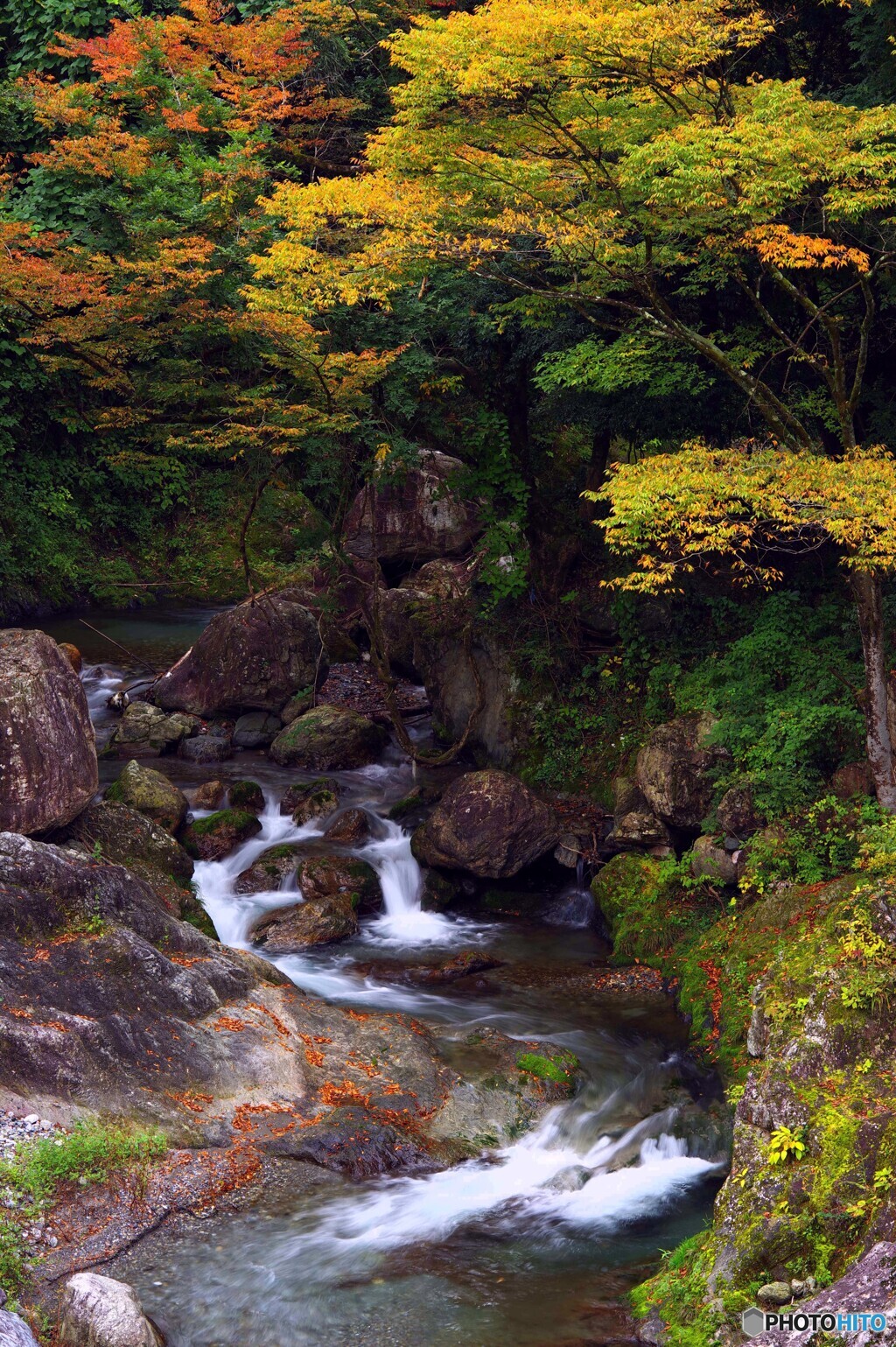 秋の渓流