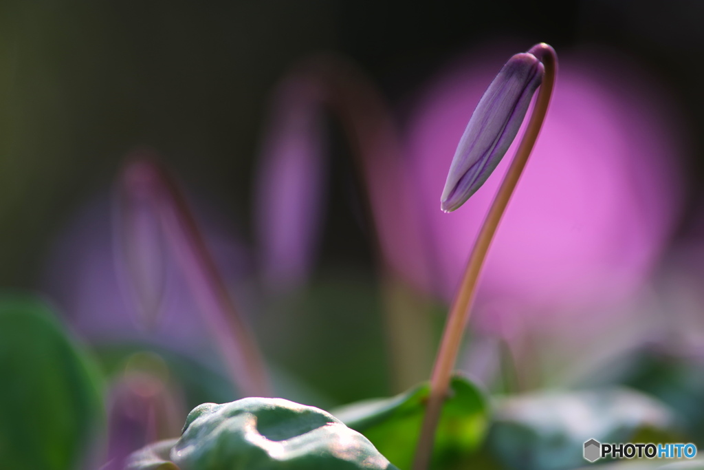 ちょっと待ってね♪