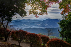 桜山公園