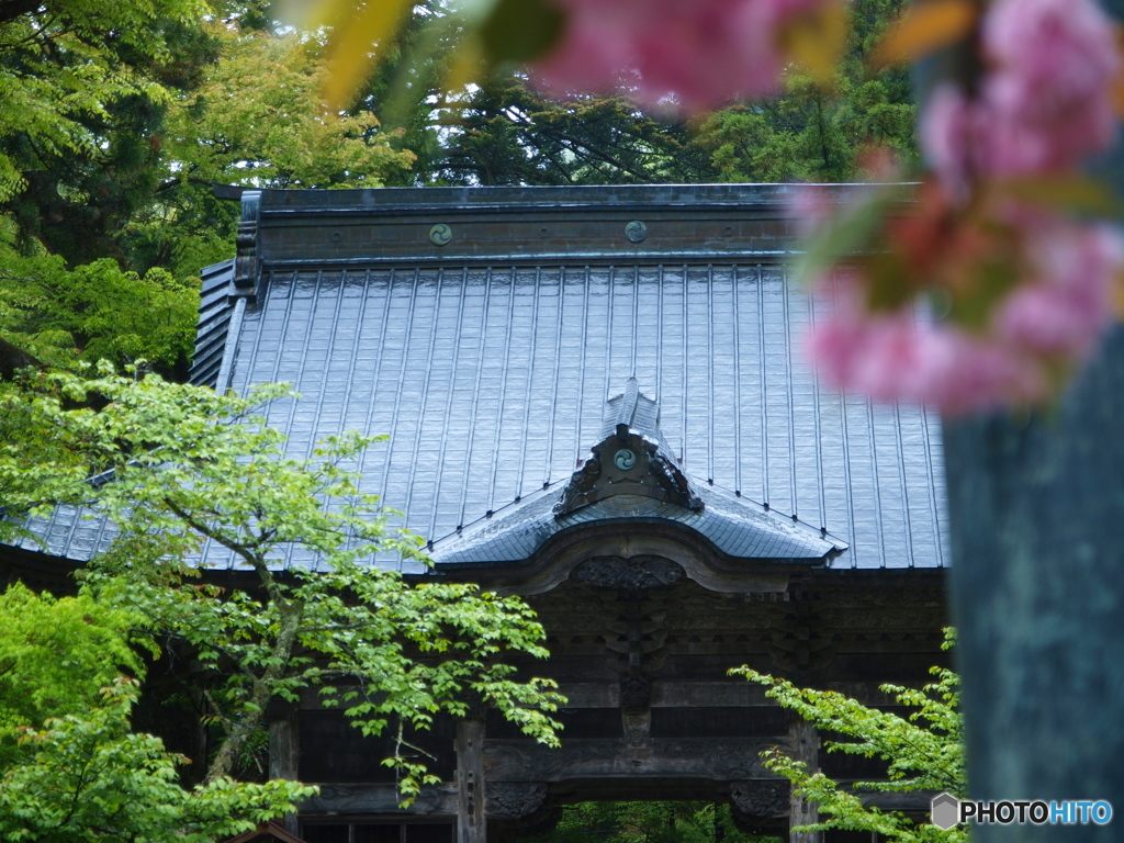 雨の参拝