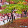 霧巻く紅葉山