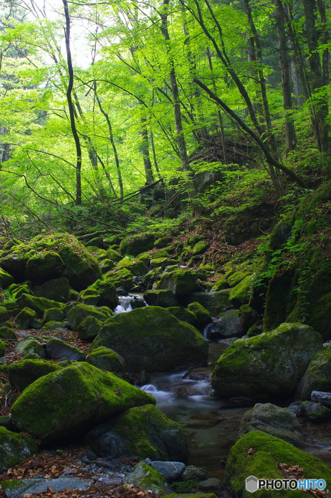 渓流散歩